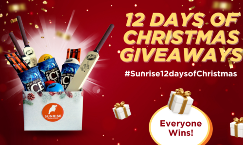 Celebrate the Season with Our 12 Days of Christmas Giveaways banner